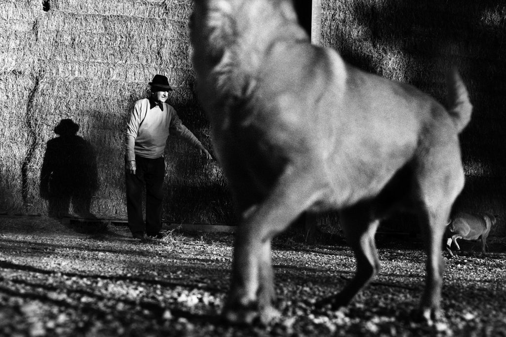 Lorenzo Cicconi Massi | Gli ultimi contadini